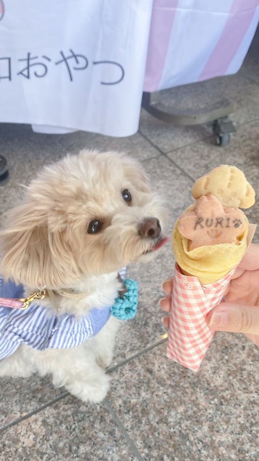 「わんマルシェ」ありがとうございました