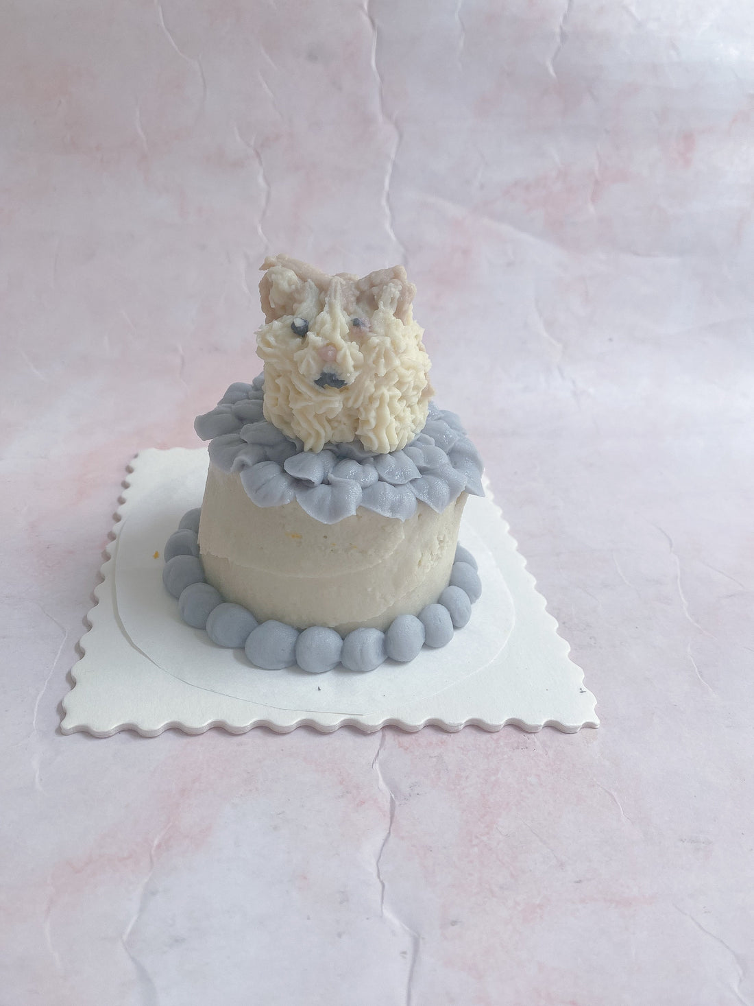 犬用ケーキ　mydog cake