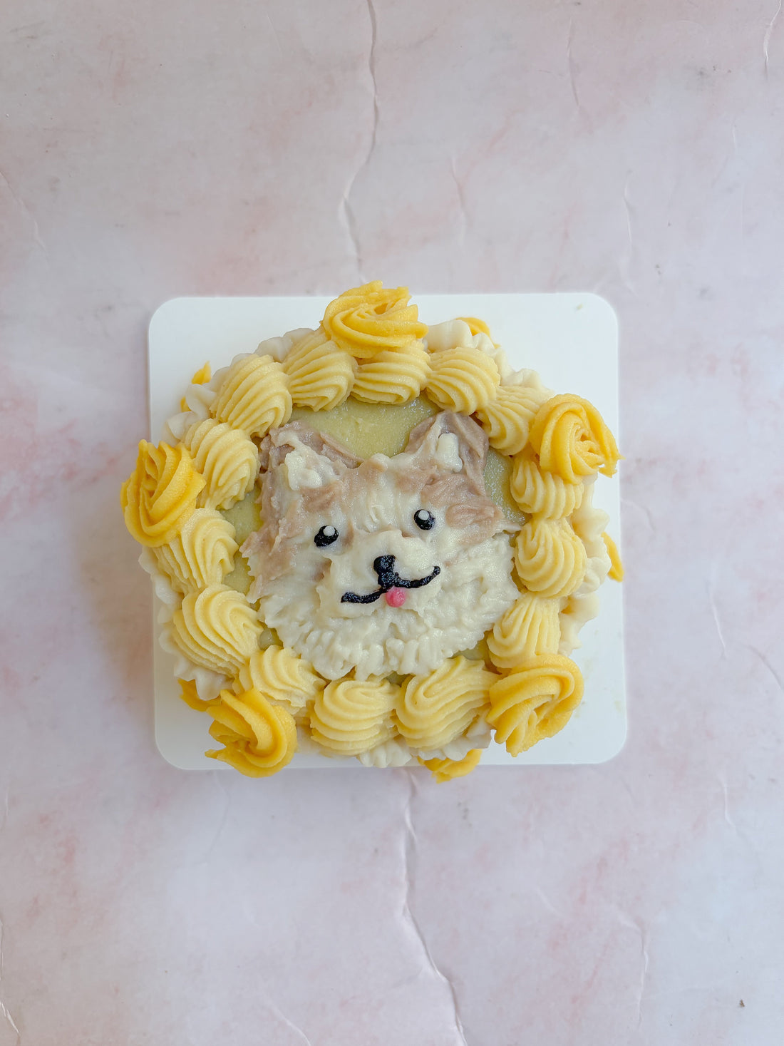 犬用センイルケーキ