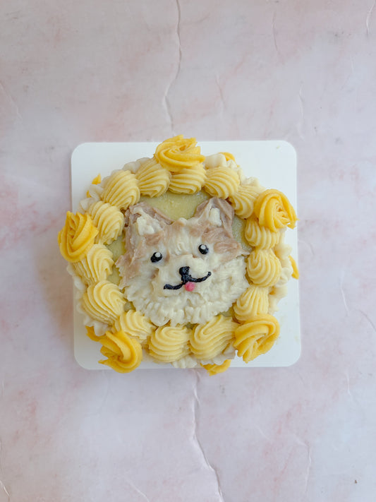 犬用センイルケーキ