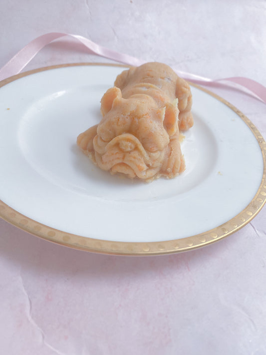 食べないワンちゃん必見！犬の食欲up方法