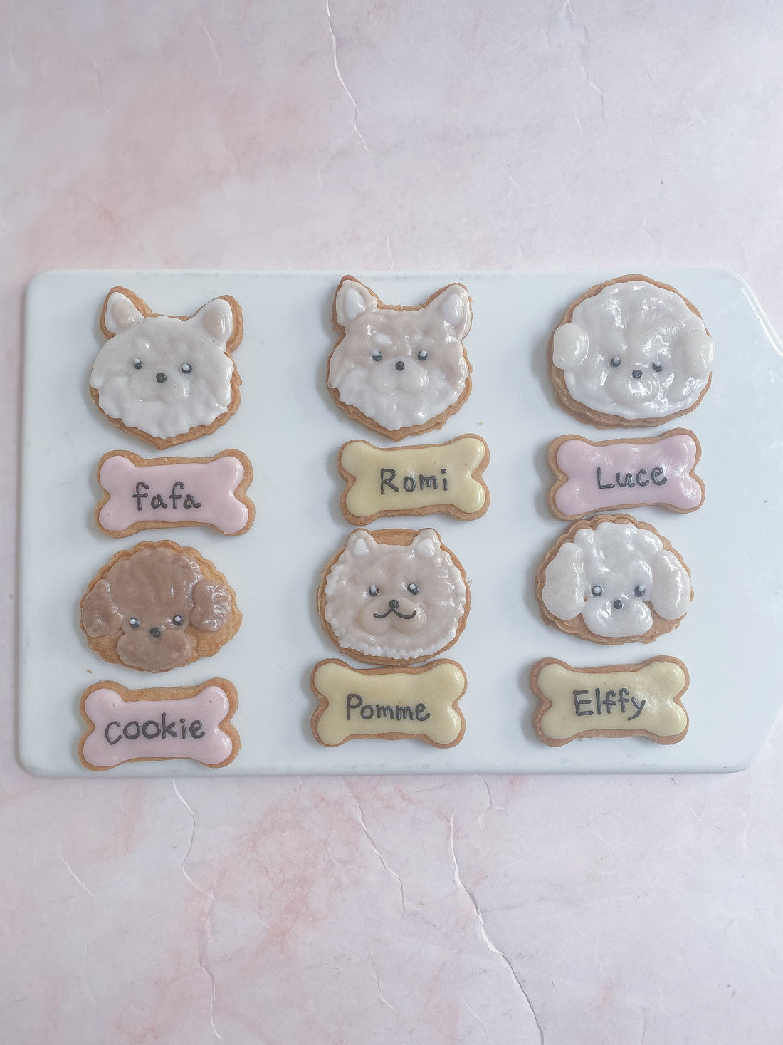 犬に味覚はある？