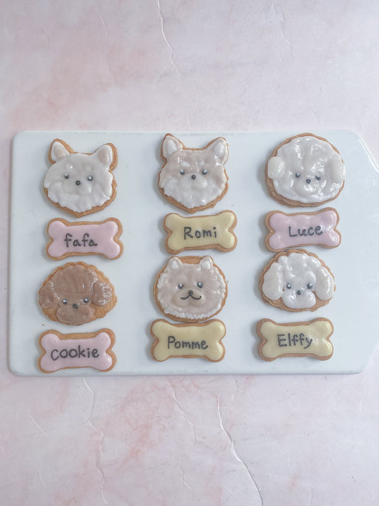 犬に味覚はある？