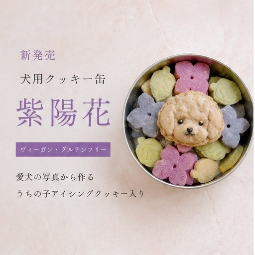 新商品　犬用クッキー缶　紫陽花