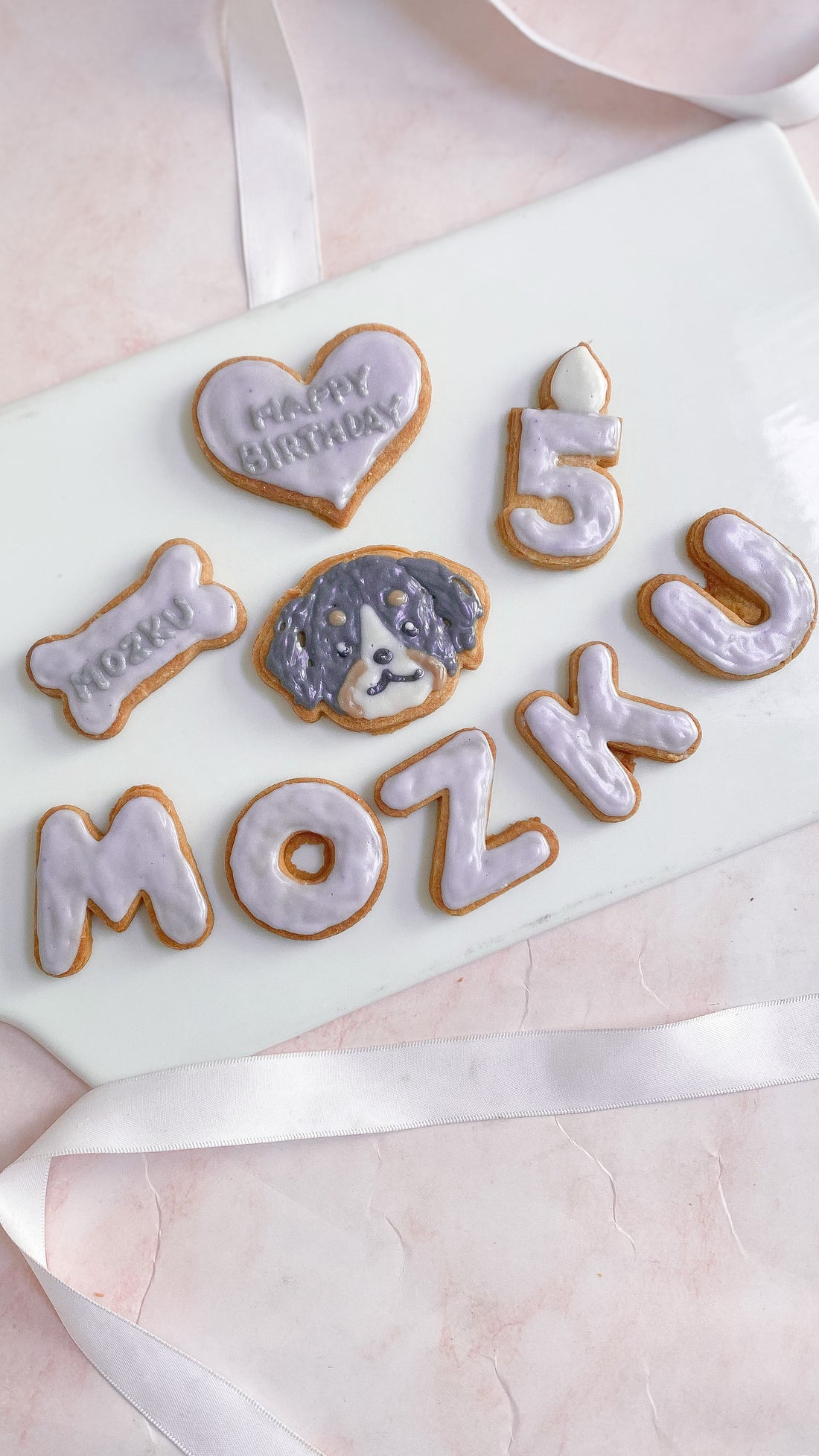 愛犬のルーティン