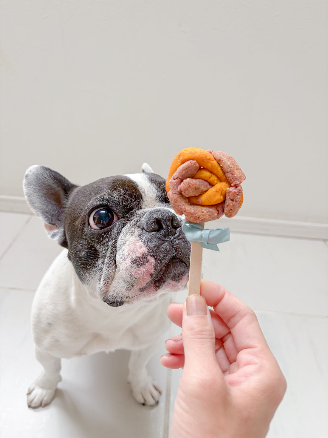 犬用デンタルバー