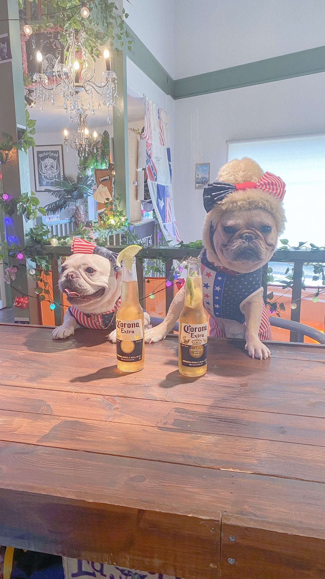 caliidogcafeありがとうございました