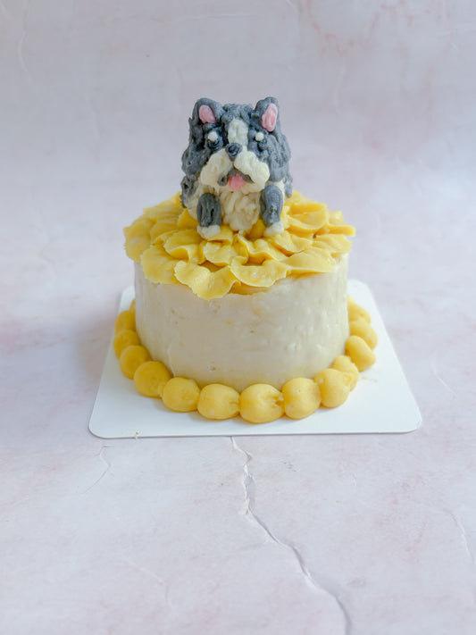 mydog cake