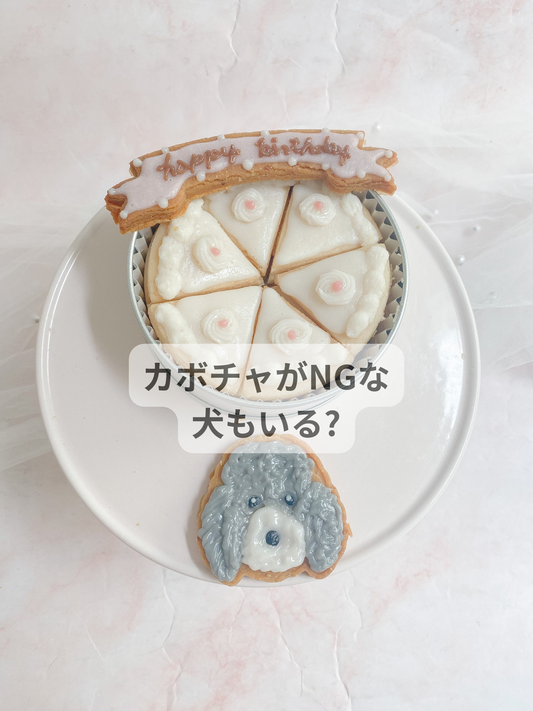 カボチャがNGな犬もいる？