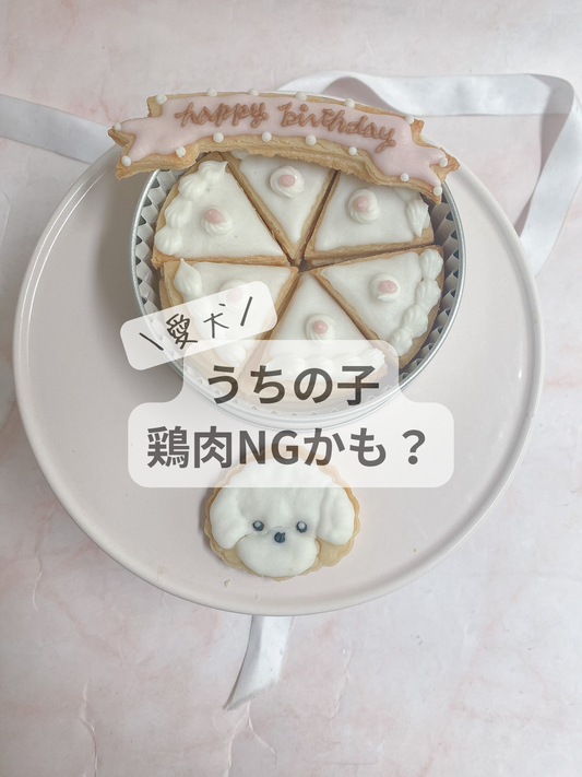 うちの子、鶏肉NGかも？