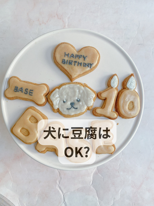 犬に豆腐ってOK⁈