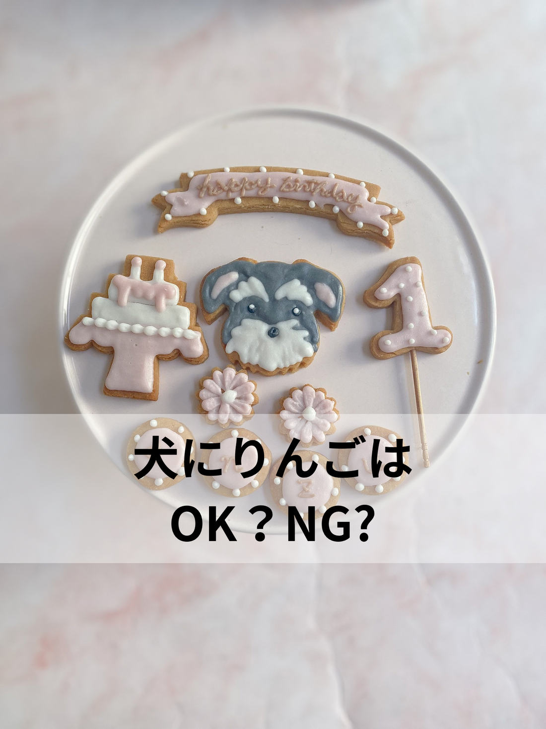 犬にりんごはOK?NG?