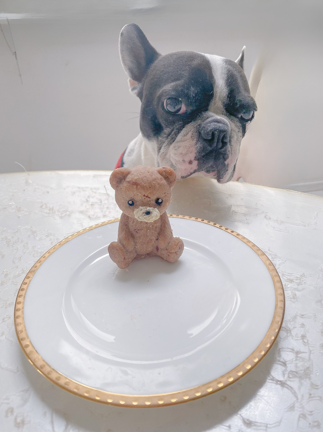 愛犬へのバレンタイン