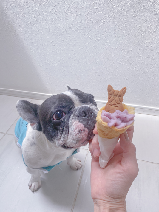 犬用クレープの秘密