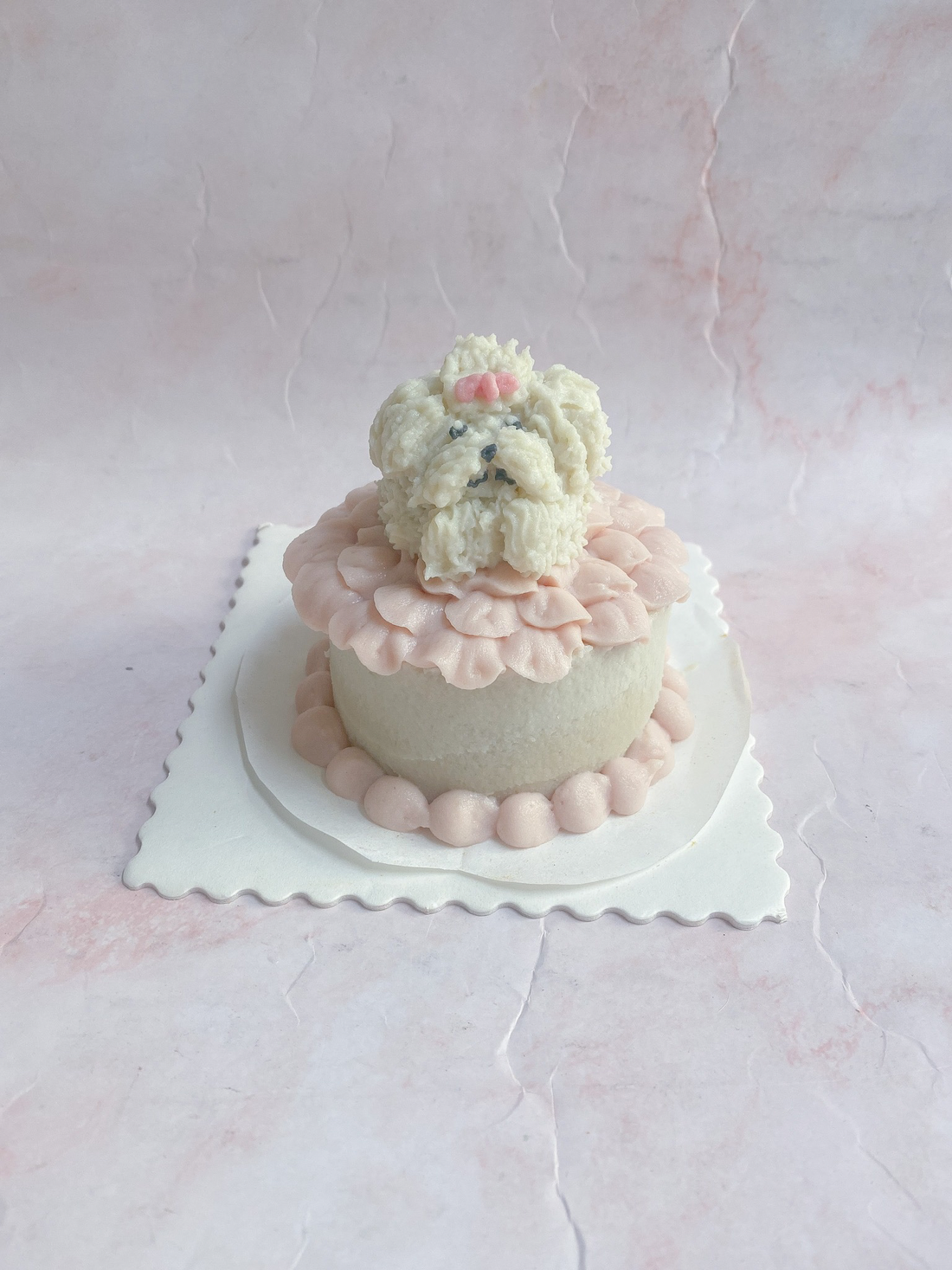 犬用ケーキは必要⁈