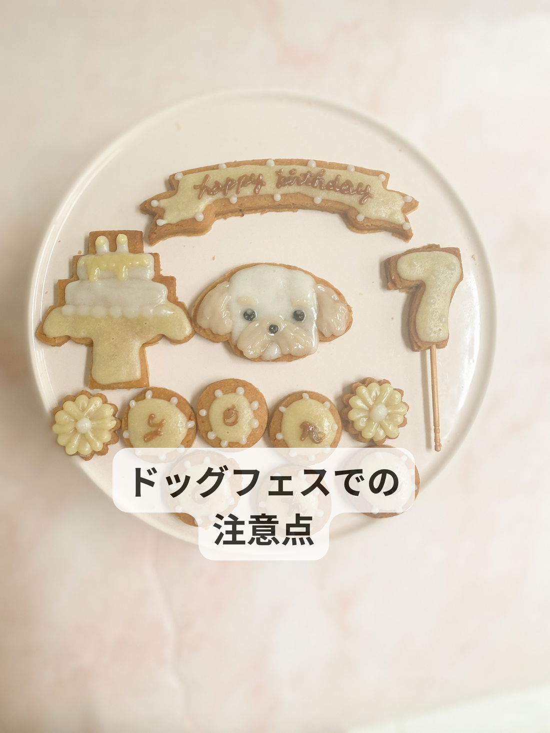 ドッグフェスで気をつけること