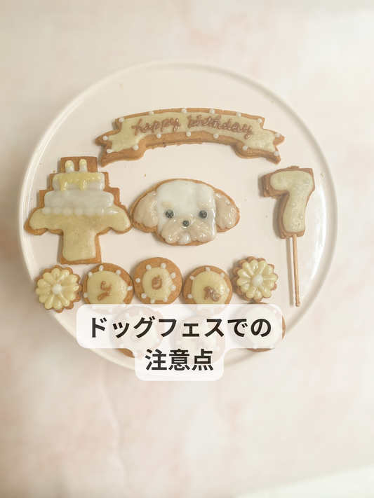 ドッグフェスで気をつけること