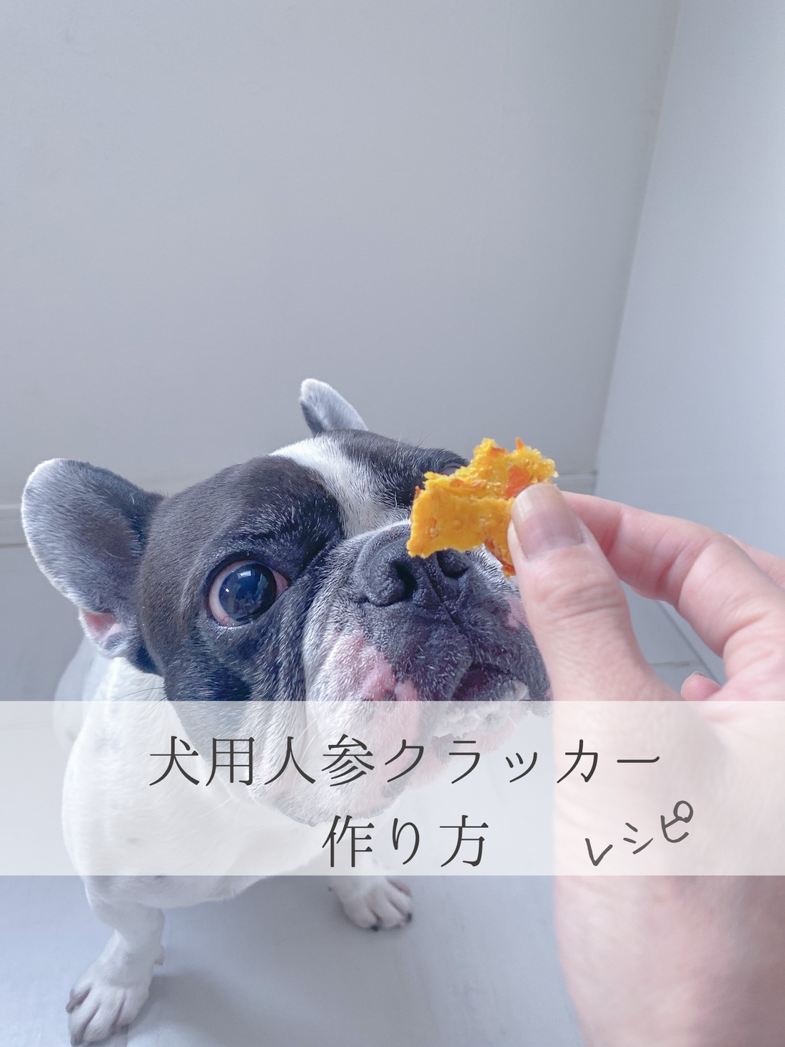 犬用人参クラッカーの作り方