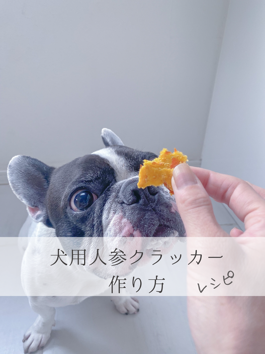 犬用人参クラッカーの作り方