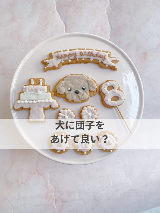 犬に団子をあげて良い？