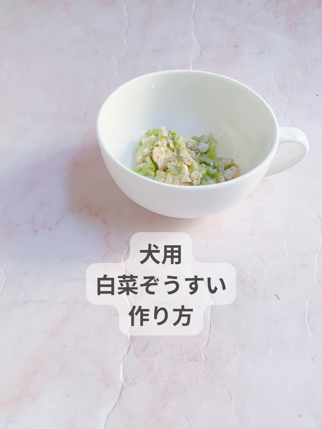 犬用白菜ぞうすい作り方