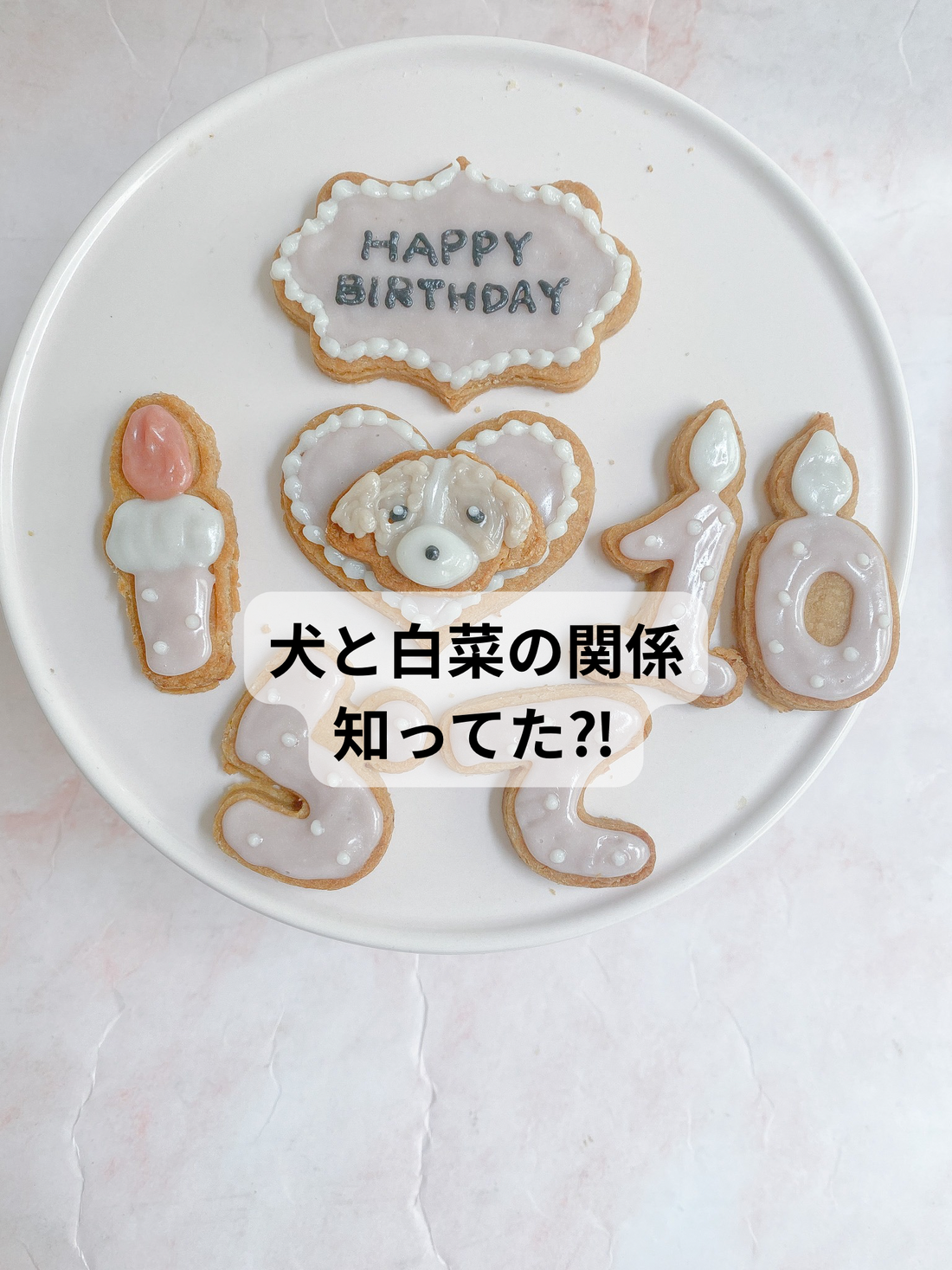 犬に白菜を与えて良い？