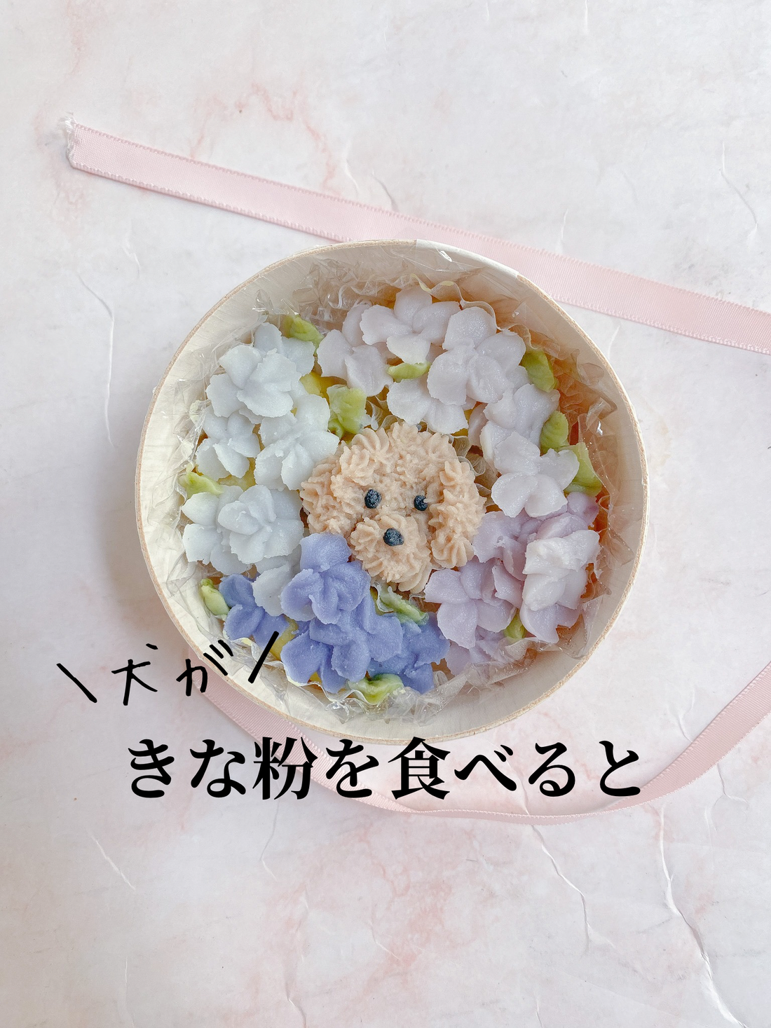 犬がきな粉を食べたら