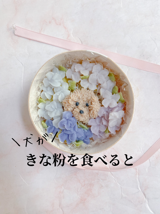 犬がきな粉を食べたら