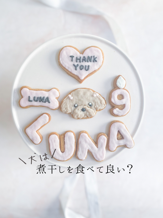 犬に煮干しを与えて良い？