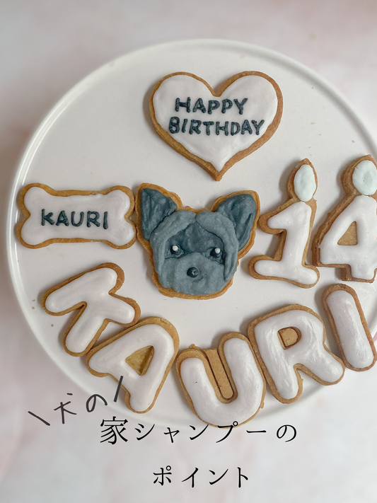 犬の家シャンプーのポイント
