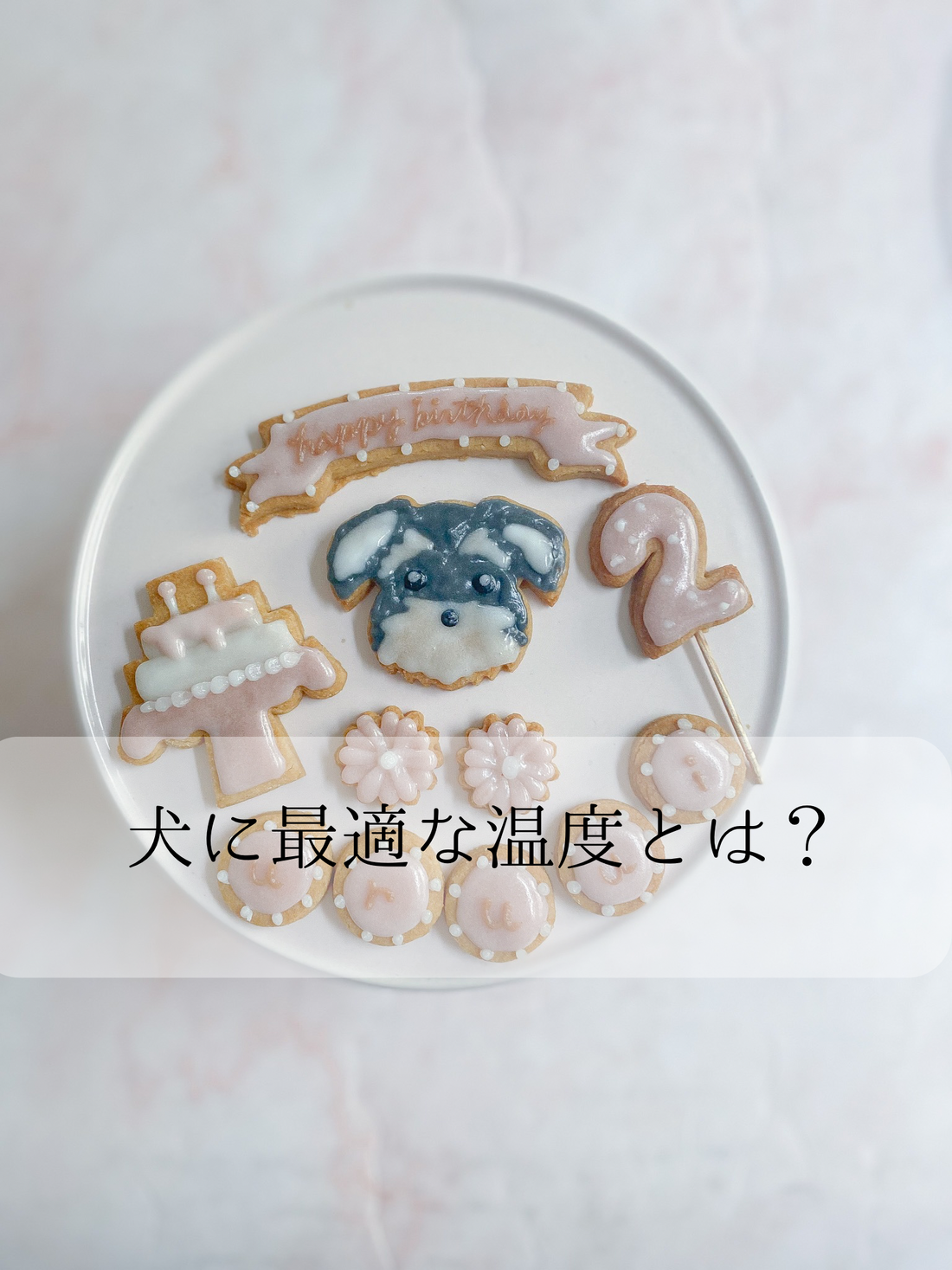 犬に最適な温度とは