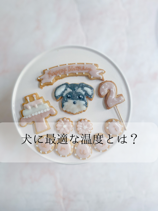 犬に最適な温度とは