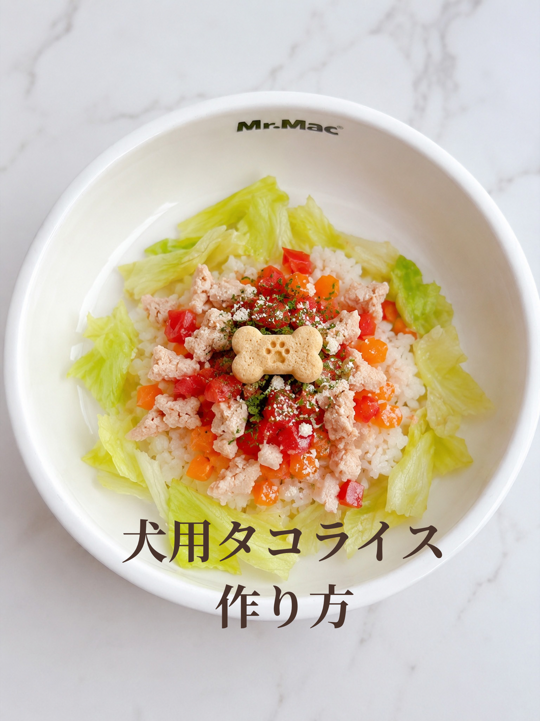 犬用タコライス作り方