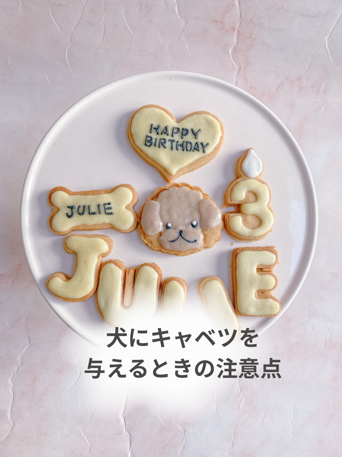 犬にキャベツをあげるときの注意点