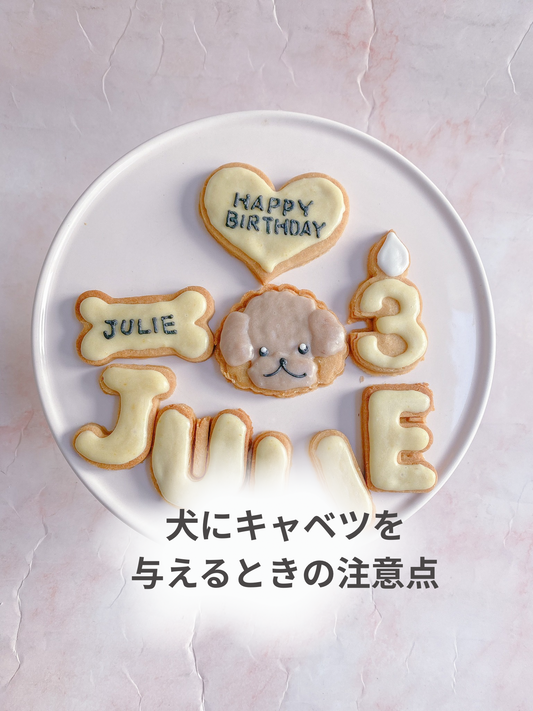 犬にキャベツをあげるときの注意点