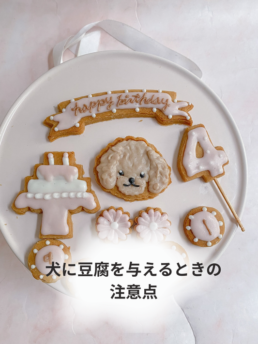 犬に豆腐をあげるときの注意点
