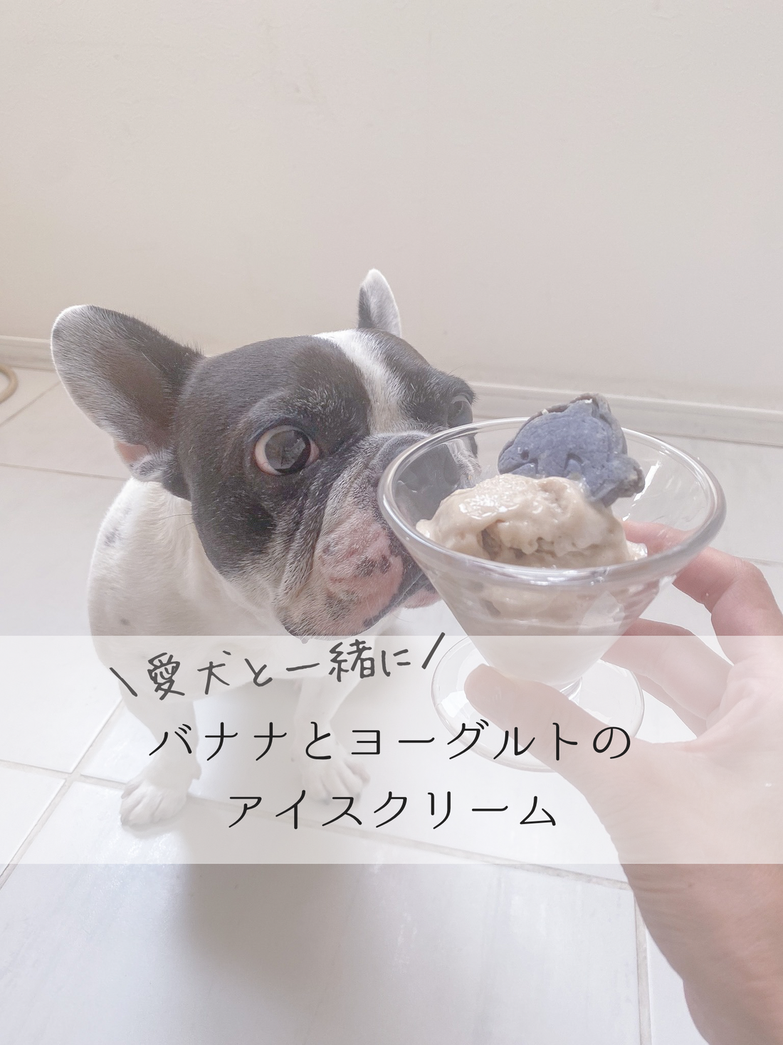 犬用バナナアイスの作り方