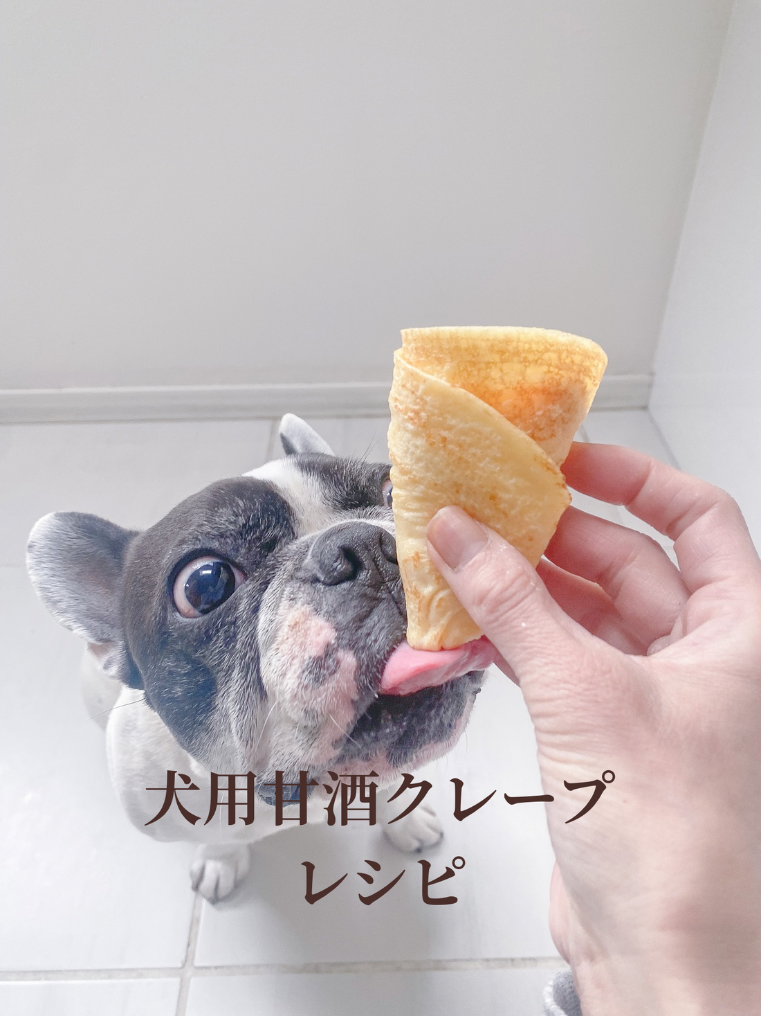 犬用甘酒クレープのレシピ