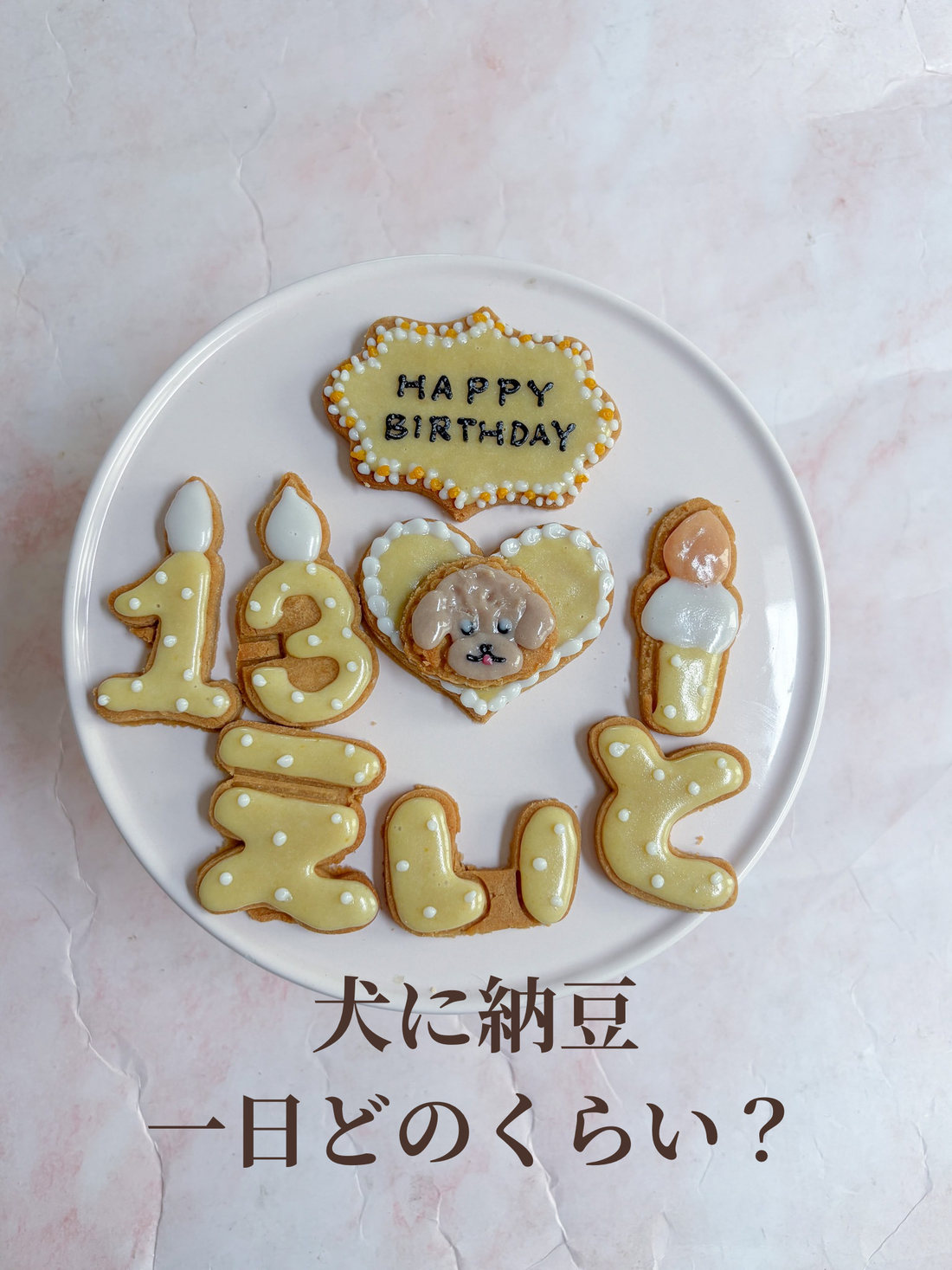 犬に納豆、一日どのくらいOK?