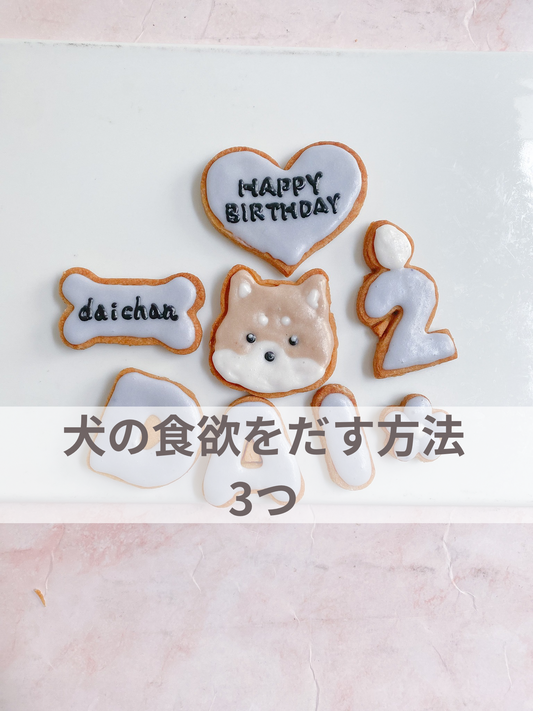 愛犬の食欲を出す工夫