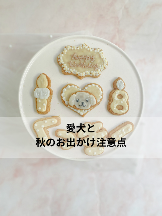 愛犬と秋のお出かけ注意点