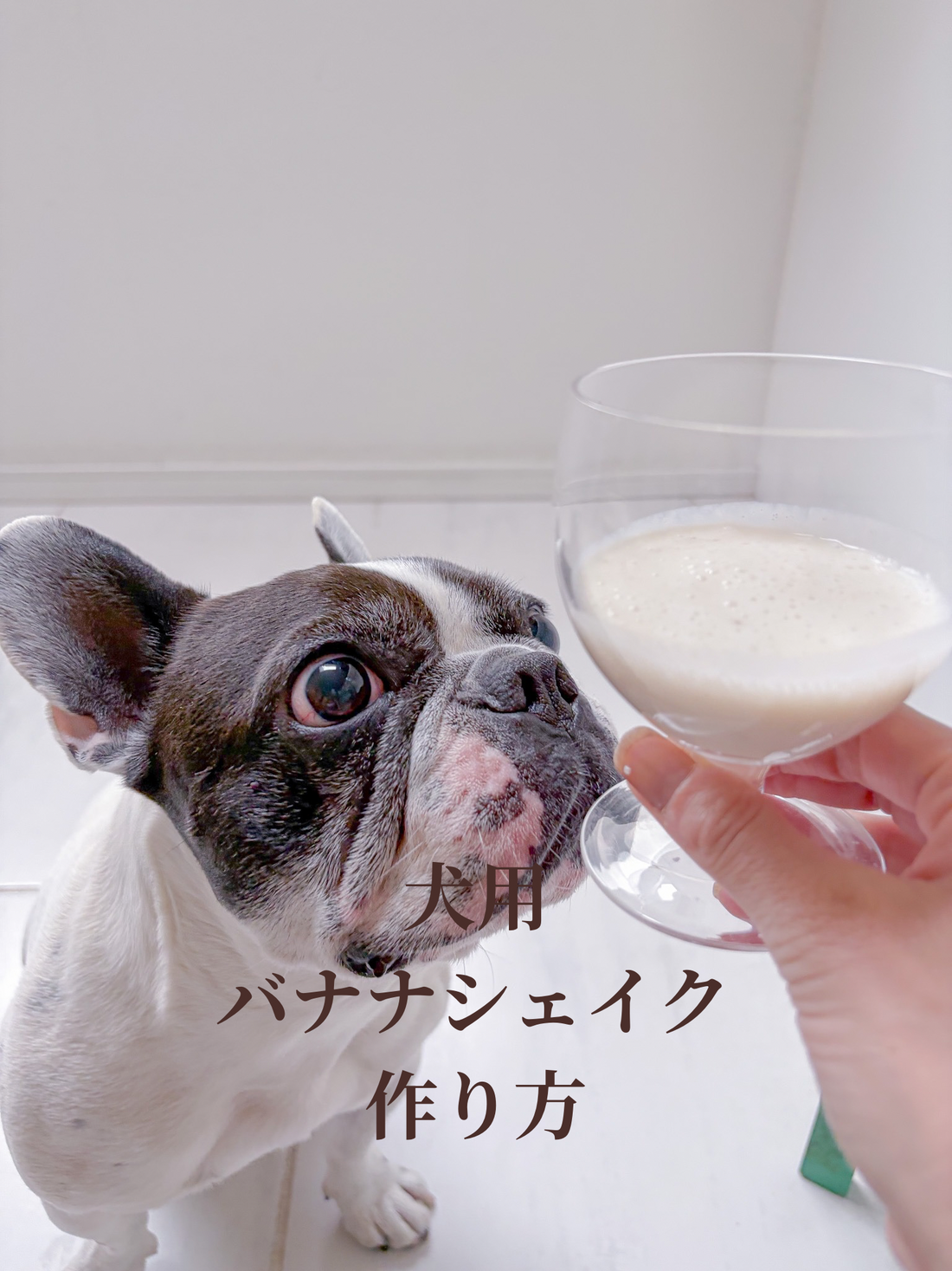 犬用バナナシェイクの作り方