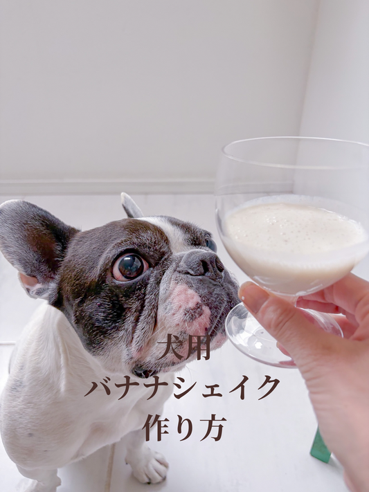 犬用バナナシェイクの作り方