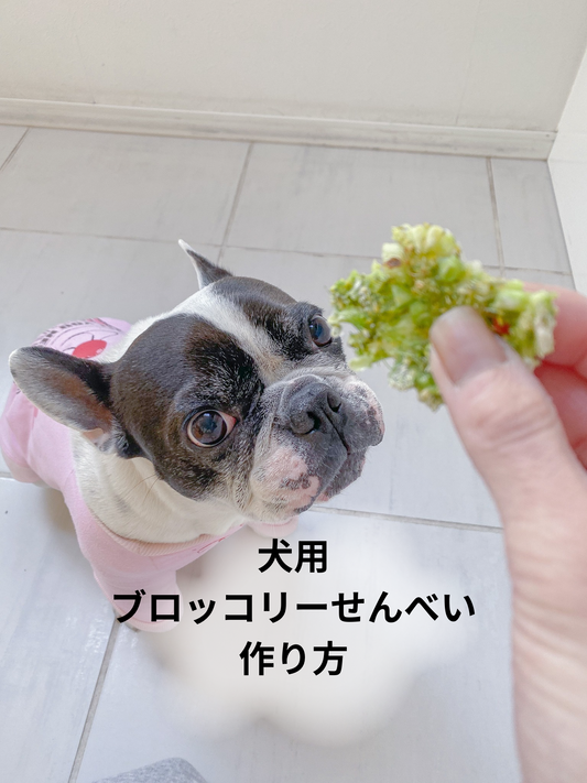 犬用ブロッコリーせんべい作り方
