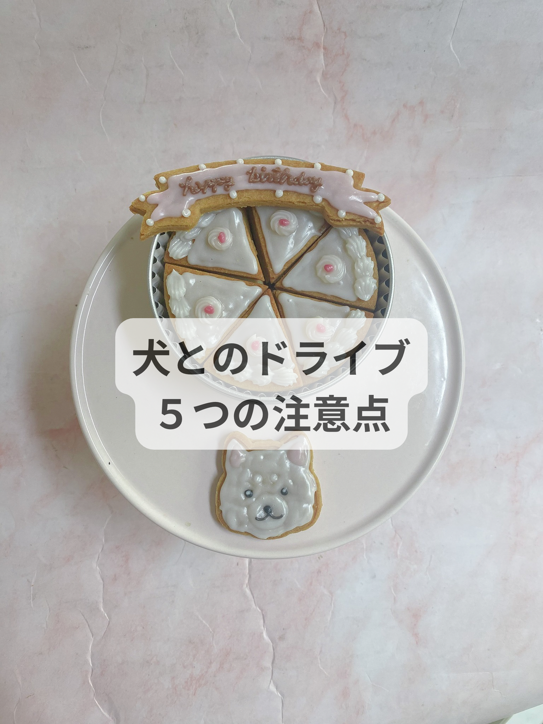 犬とドライブする時、５つの注意点