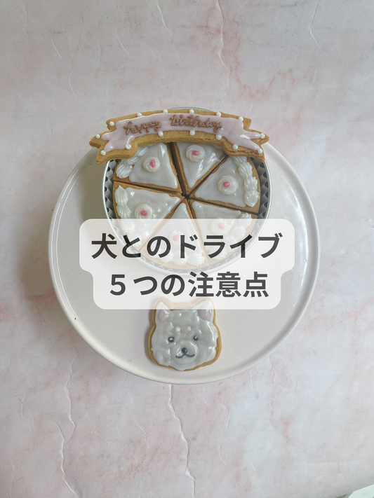 犬とドライブする時、５つの注意点