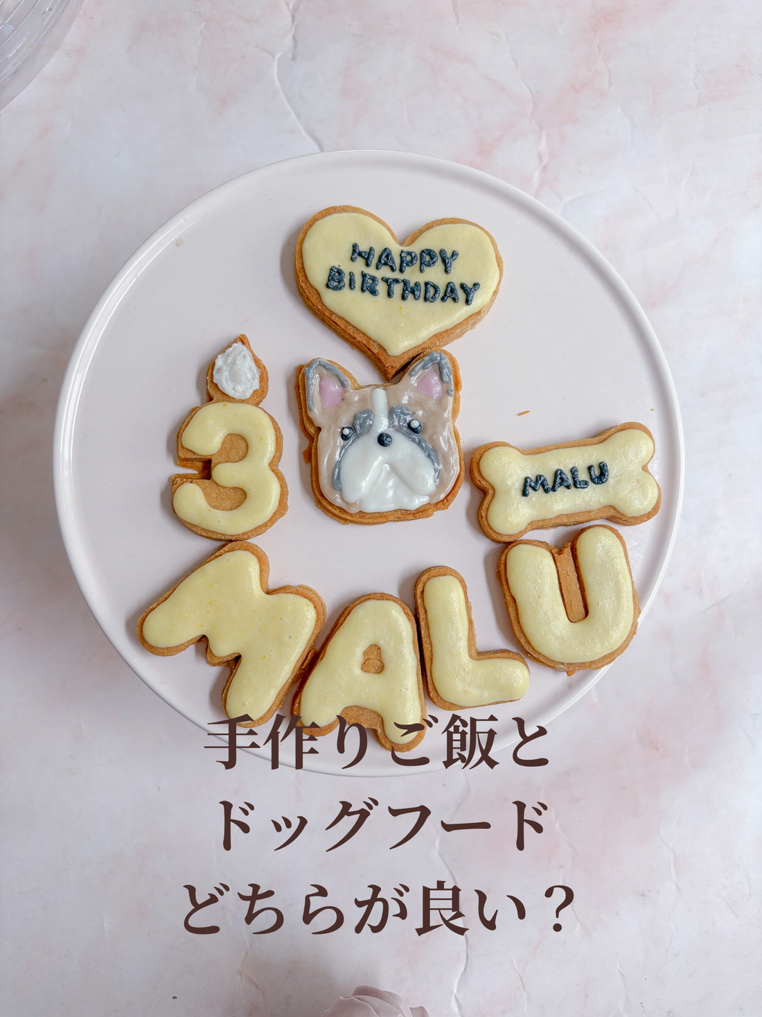 手作りご飯とドッグフード、どっちが良い？