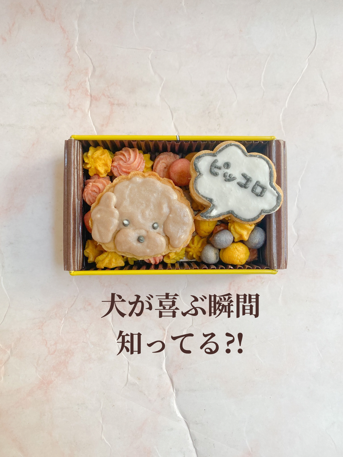 犬が喜ぶ瞬間知ってる⁈