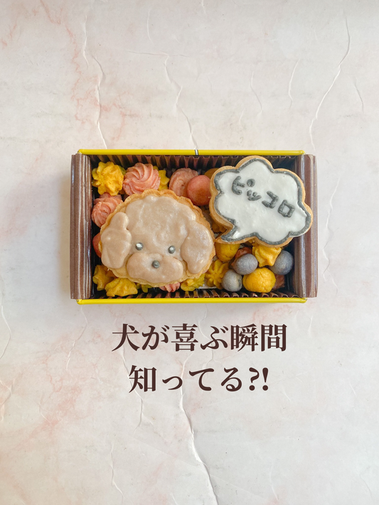 犬が喜ぶ瞬間知ってる⁈