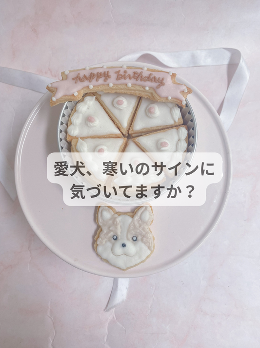 愛犬、寒いのサインに気づいてますか？